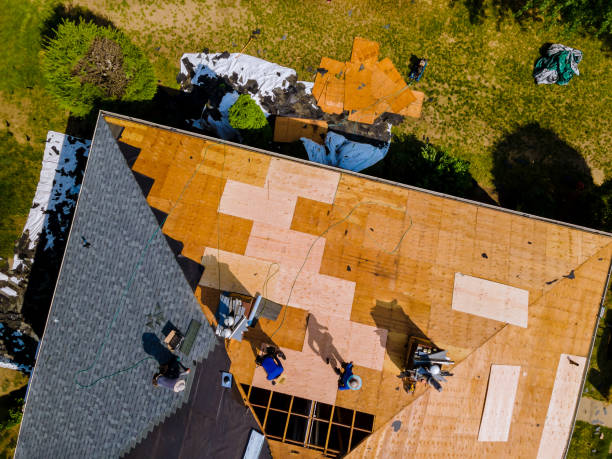 Best Roof Gutter Cleaning  in Park Forest, IL