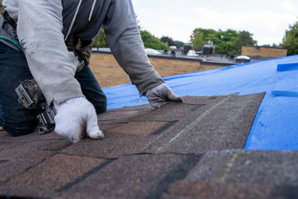Best Residential Roofing Contractor  in Park Forest, IL