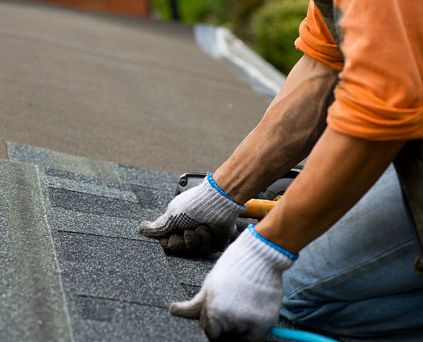 Best Shingle Roofing Installation  in Park Forest, IL