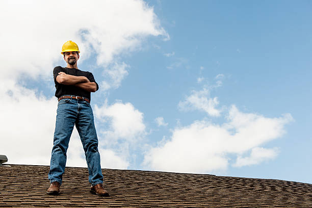 Best Metal Roofing Contractor  in Park Forest, IL