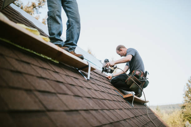 Quick and Trustworthy Emergency Roof Repair Services in Park Forest, IL